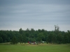 _PKF0272