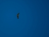 _PKF7491