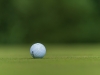 Trigolf-2021-3p-252