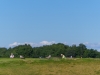 DSC8288