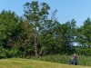 DSC8337