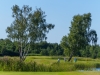 DSC8669