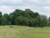 DSC0984